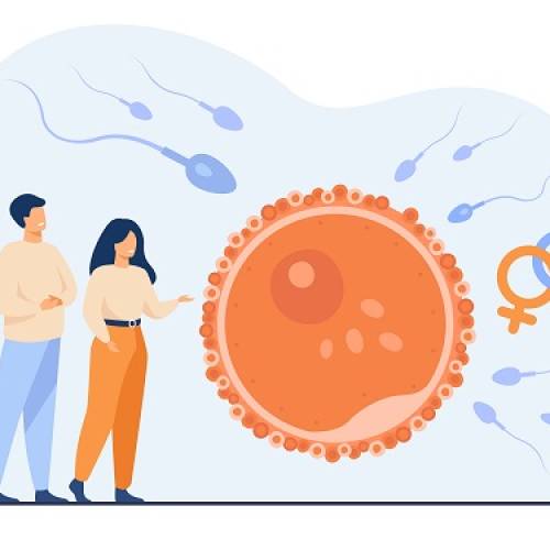Sperm Donasyonu