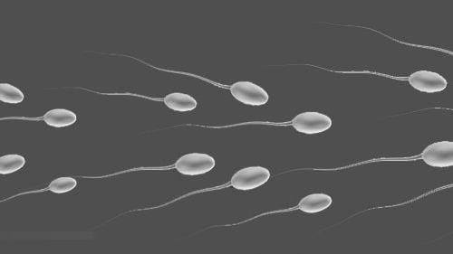 Sperm Nakli - Sperm Donasyonu